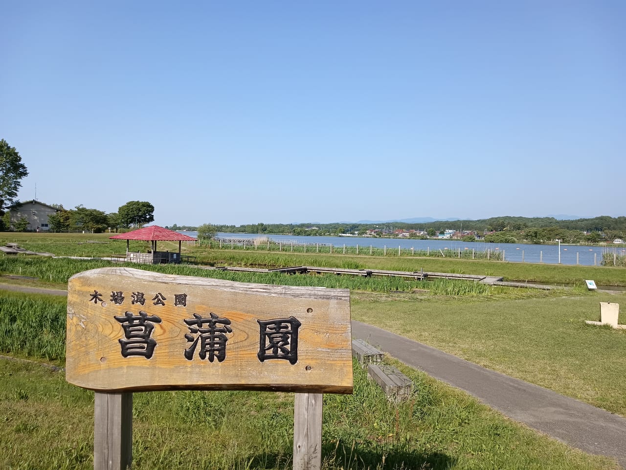 木場潟公園菖蒲園