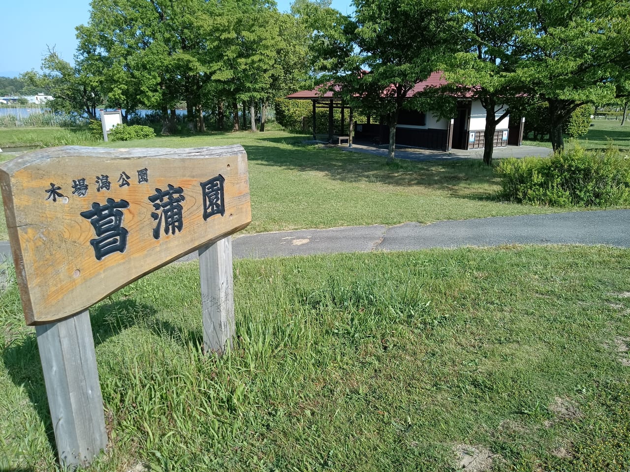 木場潟公園菖蒲園